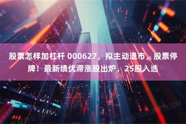 股票怎樣加杠桿 000627，擬主動退市，股票停牌！最新績優滯漲股出爐，25股入選